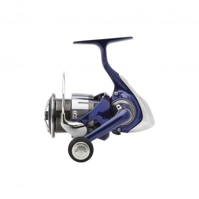 DAIWA 24 TDR Match & Feeder QD