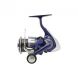 DAIWA 24 TDR Match & Feeder QD