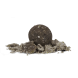 Memelcarp