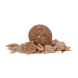 Memelcarp