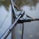 FOX Lever-lok Landing Net-42in 8ft 2 piece