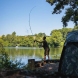 Fox Horizon X4 Black Rods
