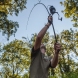 Fox Horizon X4 Black Rods