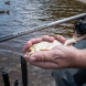 Matrix Ethos Platinum Medium Feeder Rods