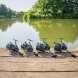 Matrix Ethos Platinum Reels