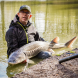 Matrix Torque Carp X Power - 11.5m