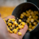 Corn - F1 (S0900004)
